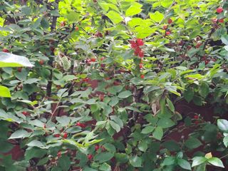 울금박사[빈덕열]님의 자유주제 · 자유게시판 작성글 사진