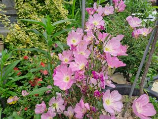 울금박사[빈덕열]님의 자유주제 · 자유게시판 작성글 사진