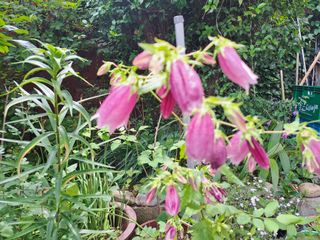 울금박사[빈덕열]님의 자유주제 · 자유게시판 작성글 사진