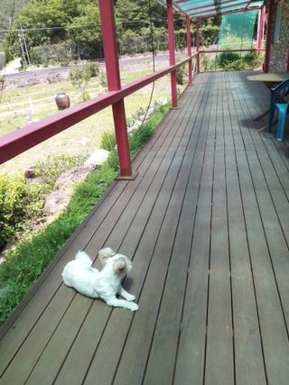 유석범님의 자유주제 · 자유게시판 작성글 사진