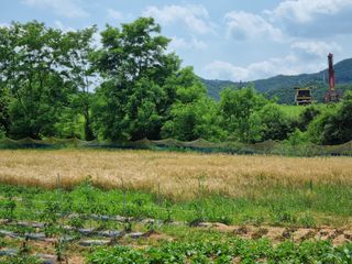 다담 조복영님의 자유주제 · 자유게시판 작성글 사진