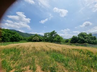 다담 조복영님의 자유주제 · 자유게시판 작성글 사진