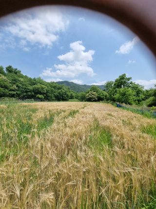 다담 조복영님의 자유주제 · 자유게시판 작성글 사진