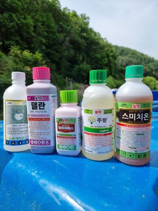 고봉농원 김경수님의 농부님! 어떤 농약 쓰세요? · 참여 작성글 사진