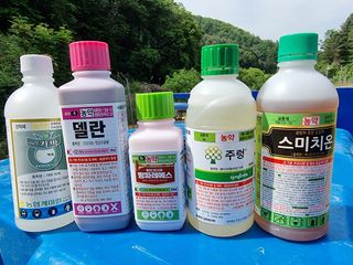 고봉농원 김경수님의 농부님! 어떤 농약 쓰세요? · 참여 작성글 사진