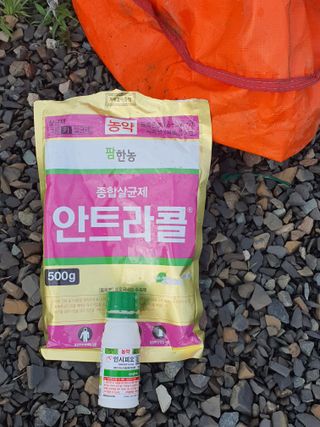 아네모네1님의 농부님! 어떤 농약 쓰세요? · 참여 작성글 사진