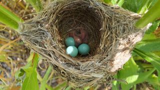 황의성님의 자유주제 · 사진전 작성글 사진
