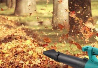 전순덕.동신유통님의 작성글 사진