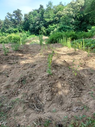 신경숙님의 기타작물 · 자유게시판 작성글 사진