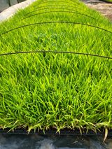 팜모닝 자유주제·자유게시판 게시글 이미지