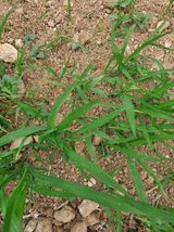 팜모닝 호박·자유게시판 게시글 이미지