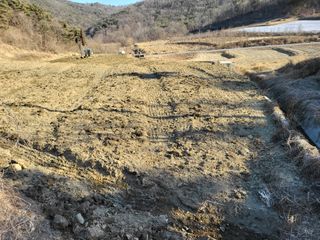 이유천님의 기타작물 · 병해충상담 작성글 사진