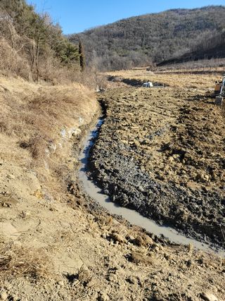 이유천님의 기타작물 · 병해충상담 작성글 사진