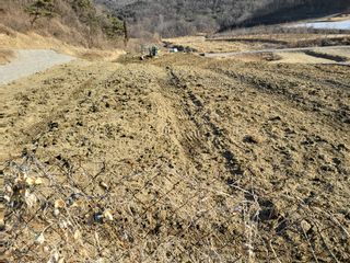 이유천님의 기타작물 · 병해충상담 작성글 사진