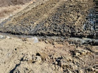 이유천님의 기타작물 · 병해충상담 작성글 사진