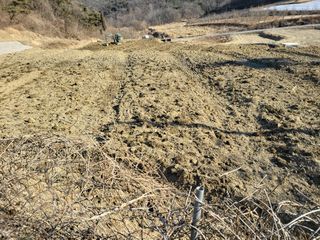 이유천님의 기타작물 · 병해충상담 작성글 사진