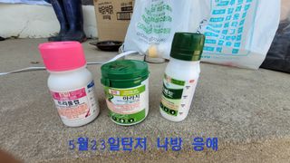 성심농원님의 농부님! 어떤 농약 쓰세요? · 참여 작성글 사진