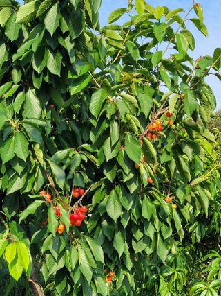 안드레아님의 기타작물 · 자유게시판 작성글 사진