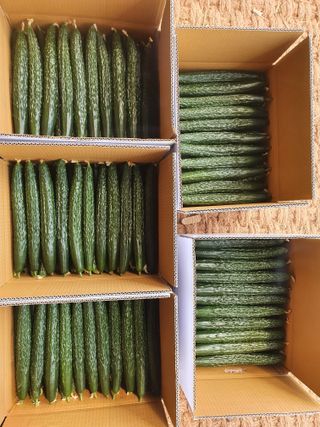 김인선님의 작성글 사진