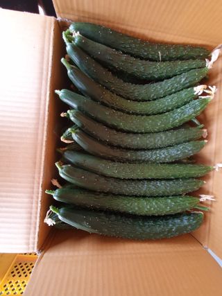 김인선님의 작성글 사진