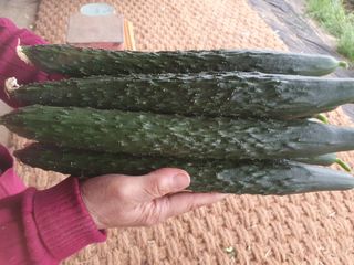 김인선님의 작성글 사진