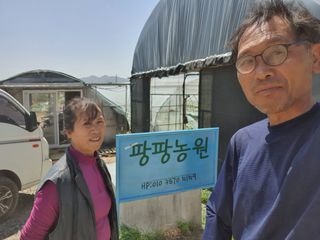 김인선님의 작성글 사진