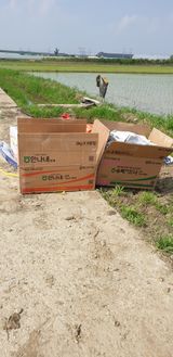 팜모닝 농부님! 어떤 농약 쓰세요?·참여 게시글 이미지