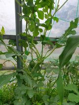 팜모닝 자유주제·사진전 게시글 이미지