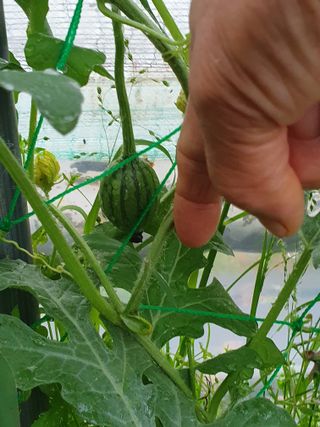 알 수 없음님의 자유주제 · 사진전 작성글 사진