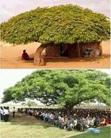 팜모닝 자유주제·자유게시판 게시글 이미지