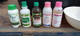 윤충기님의 농부님! 어떤 농약 쓰세요? · 참여 작성글 사진