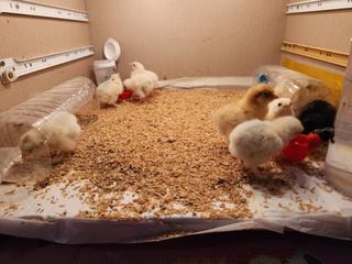 노아님의 자유주제 · 자유게시판 작성글 사진