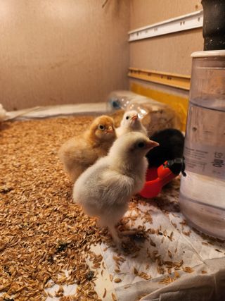 노아님의 자유주제 · 자유게시판 작성글 사진