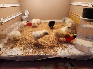 노아님의 자유주제 · 자유게시판 작성글 사진