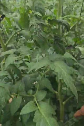 그린톡톡 오계상님의 자유주제 · 자유게시판 작성글 사진