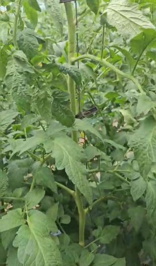 그린톡톡 오계상님의 자유주제 · 자유게시판 작성글 사진