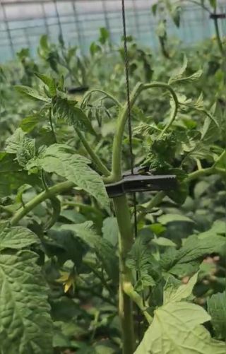 그린톡톡 오계상님의 자유주제 · 자유게시판 작성글 사진