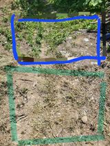 팜모닝 농부님! 어떤 농약 쓰세요?·참여 게시글 이미지