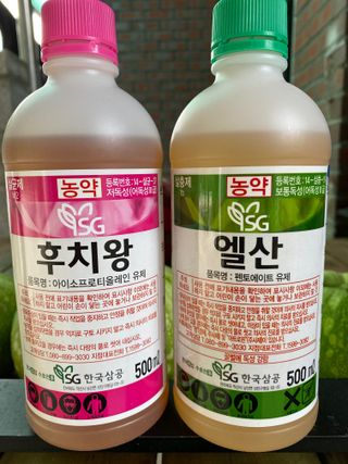 이재운님의 농부님! 어떤 농약 쓰세요? · 참여 작성글 사진