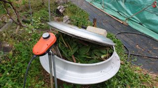 이봉수님의 고추 · 일상 작성글 사진