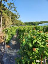 팜모닝 자유주제·칭찬해요 게시글 이미지