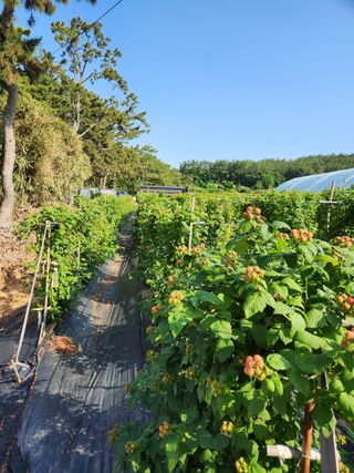 심원댁님의 자유주제 · 칭찬해요 작성글 사진