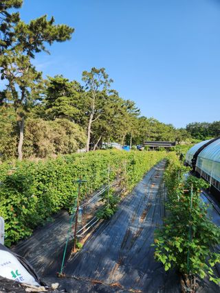 심원댁님의 자유주제 · 칭찬해요 작성글 사진