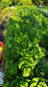 팜모닝 자유주제·자유게시판 게시글 이미지