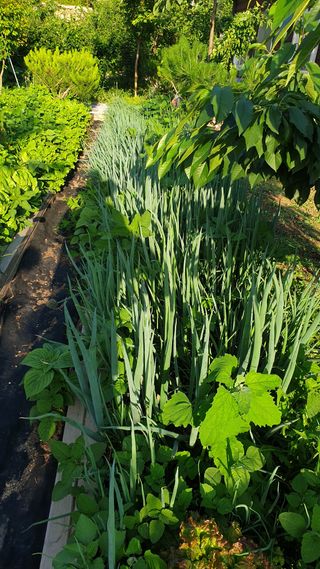 야산 양 형근님의 자유주제 · 자유게시판 작성글 사진