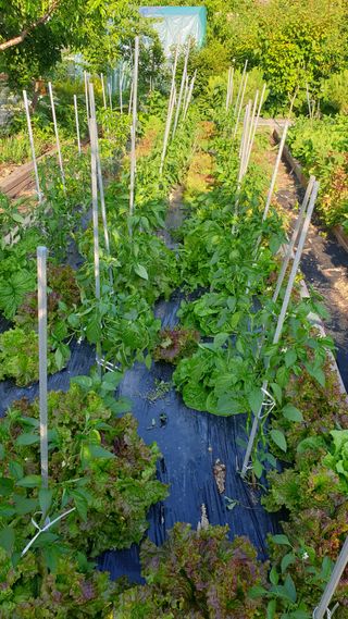 야산 양 형근님의 자유주제 · 자유게시판 작성글 사진