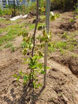 팜모닝 자유주제·자유게시판 게시글 이미지