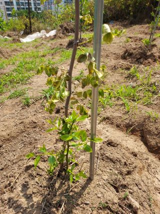 신경숙님의 자유주제 · 자유게시판 작성글 사진