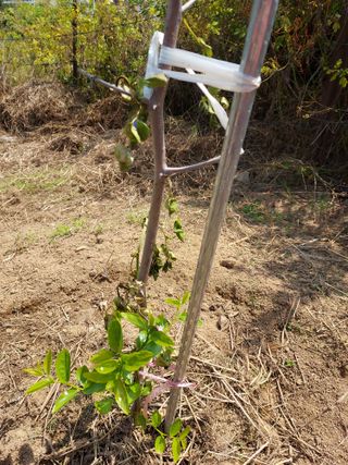 신경숙님의 자유주제 · 자유게시판 작성글 사진