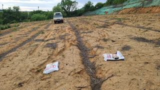 이동걸님의 콩 · 자유게시판 작성글 사진